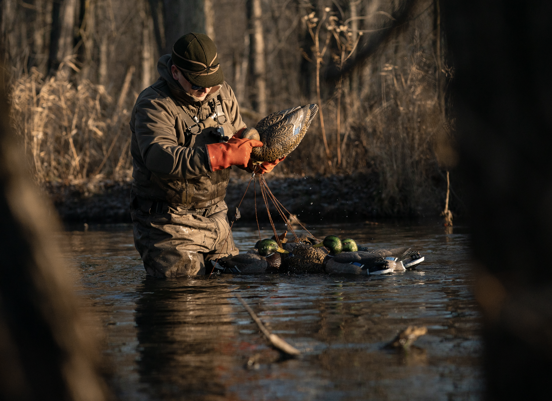 The Steel Standard is Outdated